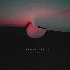 Animal Youth - Animal ( 1 VINYL ) foto