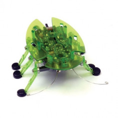 Microrobot Beetle verde foto