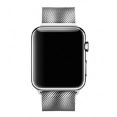 Curea pentru Apple Watch 42mm Silver Milanese Loop foto