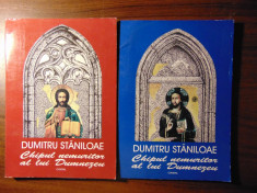 Chipul nemuritor al lui Dumnezeu, 2 vol - Dumitru Staniloae (1995) foto