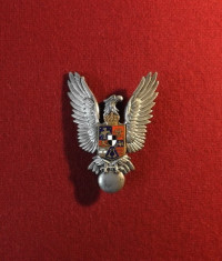 AVIATIE - Insigna militara regalista - PILOT - Regele Mihai I - FOARTE RARA ! foto