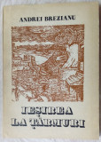 ANDREI BREZIANU-IESIREA LA TARMURI,1978(dedicatie pt IOLANDA MALAMEN/MIHAI ELIN)