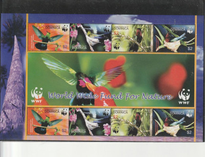 Fauna WWF ,pasari,colita de doua serii,Dominica. foto