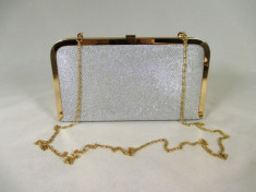 Clutch/plic dama argintiu elegant de ocazie+CADOU foto