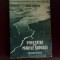 Jack London Povestiri din Marile Sudului