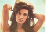 (A) carte postala-ACTORI SI INTERPRETI-Raquel Welch, Necirculata, Printata