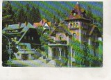 Bnk cp Sinaia - Vilele Zambezi si Panseluta - circulata, Printata