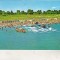 bnk cp Eforie Sud - Plaja - circulata