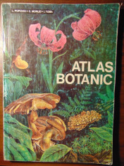 Atlas botanic - L. Popovici, C. Moruzi, I. Toma (1993) foto