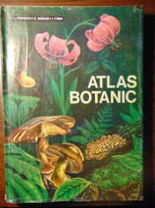 Atlas botanic - L. Popovici, C. Moruzi, I. Toma (1994) Editie cartonata foto