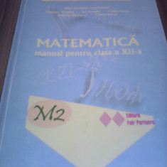 MANUAL MATEMATICA M2 CLASA XII MIHAI POSTOLACHE 2007