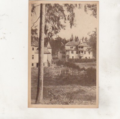 bnk cp Borsec - Vedere - circulata foto