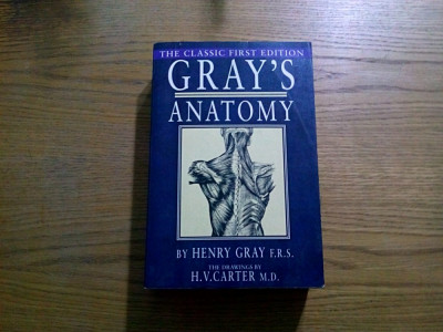 GRAY`S ANATOMY - Descriptive and Surgical - Henry Geay - 1994, 750 p. foto