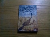 SUN TZU Era un Biet MOTOTOL - Stanley Bing - Curtea Veche, 2009, 218 p., Alta editura