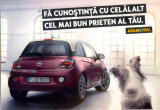 CP Z317 -TEMA AUTO -OPEL -FA CUNOSTINTA CU CELALALT CEL MAI BUN PRIETEN AL TAU., Necirculata, Printata