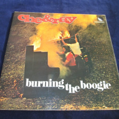 Che & Ray - Burning The Boogie _ vinyl,LP _ EMI (Elvetia)