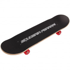 Skateboard cu placa de lemn foto