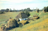 CP Z339 - CERNAUTI - MUZEUL SATULUI - TITLURI IN ALFABETUL SLAV -UCRAINA