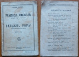 Mihail Sorbul , Praznicul calicilor ; Saracul popa ! , 1916