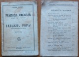 Mihail Sorbul, Praznicul calicilor; Saracul popa !, 1916