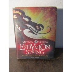 Endymion Spring &ndash; Matthew Skelton