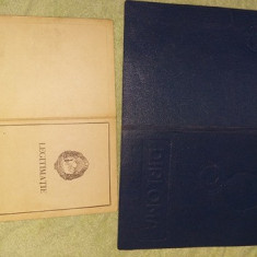 Diploma COLONEL Academie 1965,M.FORTELOR ARMATE,Legitimatieinsigna,T.GRATUIT