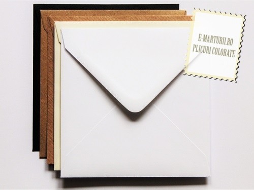 Plicuri Negre, Kraft, Maro, Ivoire si Albe 130 x 130 mm EM130S2 Plicuri Negre, Kraft, Maro, Ivoire si Albe 130 x 130 mm EM130S2