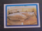 EGIPT- MUZEUL DIN MEMPHIS - COLOSUL LUI RAMSES II - NECIRCULATA .