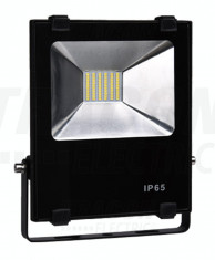 Proiector cu LED SMD - RSMDR10W foto