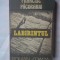 (C354) FRANCISC PACURARIU - LABIRINTUL
