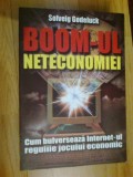 N4 Boom-ul neteconomiei. Cum bulverseaza Internet-ul regulile jocului economic