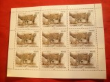 Bloc de 9 valori - Fauna - Leopard 1993 Tadjikistan