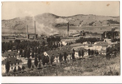 CPI (B9316) CARTE POSTALA - VEDERE DIN COPSA MICA, RPR foto