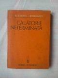 (C355) N. POPESCU-BOGDANESTI - CALATORIE NETERMINATA