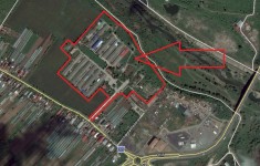 Teren 104521 mp si constructii industriale, Adunatii Copaceni, Giurgiu foto