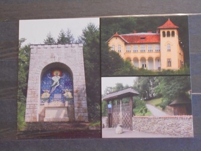 CIUCEA, JUD. CLUJ- CASTELUL LUI OCTAVIAN GOGA, MAUSOLEUL SI POARTA- NECIRCULATA foto