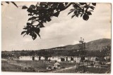 CPI (B9302) CARTE POSTALA - LUCACESTI, RPR, Circulata, Fotografie