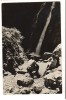 CPI (B9352) CARTE POSTALA - BUSTENI. CASCADA URLATOAREA, Circulata, Fotografie