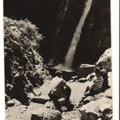 CPI (B9352) CARTE POSTALA - BUSTENI. CASCADA URLATOAREA