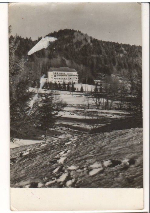 CPI (B9355) CARTE POSTALA - PREDEAL. VALEA RASNOAVEI - SANATORIUL, RPR