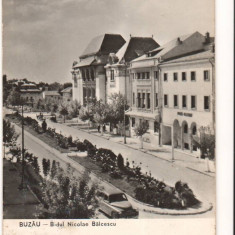 CPI (B9348) CARTE POSTALA - BUZAU. BULEVARDUL NICOLAE BALCESCU, RPR