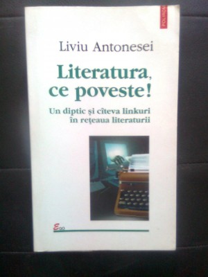 Liviu Antonesei - Literatura, ce poveste! Un diptic si citeva linkuri in reteaua foto