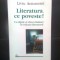 Liviu Antonesei - Literatura, ce poveste! Un diptic si citeva linkuri in reteaua