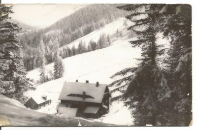(A) carte postala(ilustrata)-MUNTII BUCEGI-Cabana Diham foto