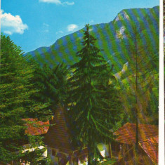 CPI (B9366) CARTE POSTALA - COMUNA AVRAM IANCU. CASA MEMORIALA AVRAM IANCU