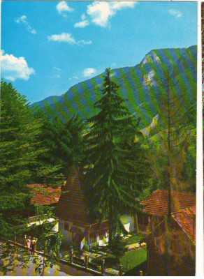 CPI (B9366) CARTE POSTALA - COMUNA AVRAM IANCU. CASA MEMORIALA AVRAM IANCU foto