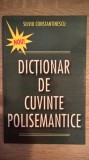 Silviu Constantinescu - Dictionar de cuvinte polisemantice (2003)