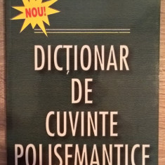 Silviu Constantinescu - Dictionar de cuvinte polisemantice (2003)