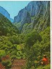 CPI (B9369) CARTE POSTALA - MUNTII APUSENI. CHEILE TURZII, Necirculata, Fotografie