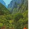CPI (B9369) CARTE POSTALA - MUNTII APUSENI. CHEILE TURZII